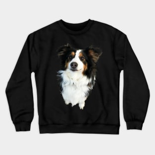 Penny - Border Collie Crewneck Sweatshirt